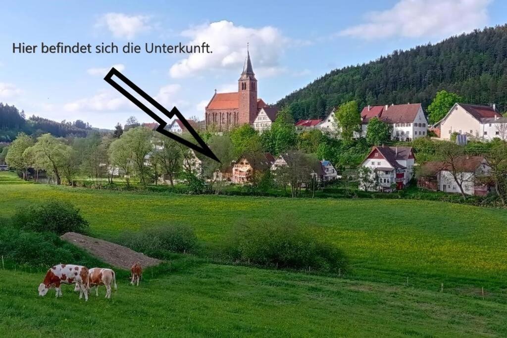 Апартаменти Ferienglueck Im Schwarzwald Zimmern ob Rottweil Екстер'єр фото